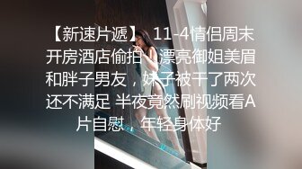 精品人妻无码久久久一区二区