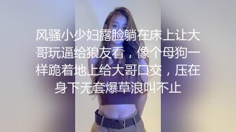 -微博红人东北姑娘巨乳小护士赵欣茜VIP收费视频28V整合1V