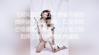 偷情的小婊子