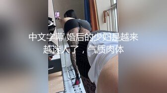 v麻豆传媒华语AV剧情新作-调教女仆美娇娘 确认湿润后忘情操干 麻豆女神陈美琳