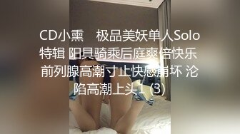 CD小熏✨ 极品美妖单人Solo特辑 阳具骑乘后庭爽倍快乐 前列腺高潮寸止快感崩坏 沦陷高潮上头1 (3)