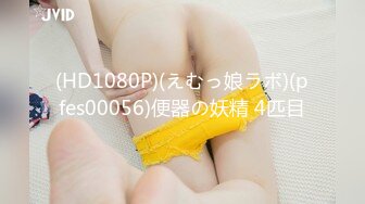 HEYZO-0014 夢実あくび淫乱家政婦の仕事ぶり～昼と夜は別の顔