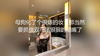 最美极品微博推特网红女神『张H玉』大尺度私拍啪啪视频整合流出 穷人的女神 富人的精盆 高清720P版