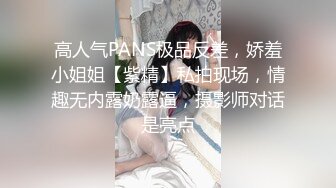 近距离拍摄流莺