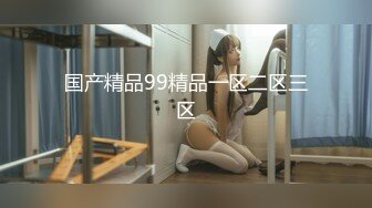 国产精品99精品一区二区三区