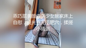 国产片商糖心出品颜值气质美女表妹的淫荡假期