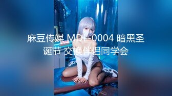 麻豆传媒 MDL-0004 暗黑圣诞节 交换伴侣同学会