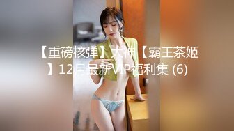 【重磅核弹】大神【霸王茶姬】12月最新VIP福利集 (6)