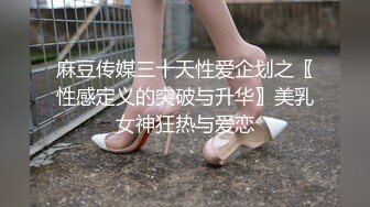 麻豆传媒三十天性爱企划之〖性感定义的突破与升华〗美乳女神狂热与爱恋