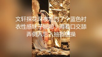 文轩探花深夜场约了个蓝色衬衣性感妹子啪啪，蹲着口交舔弄侧入后入抽插猛操