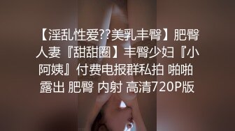 【淫乱性爱??美乳丰臀】肥臀人妻『甜甜圈】丰臀少妇『小阿姨』付费电报群私拍 啪啪 露出 肥臀 内射 高清720P版