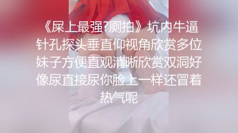 你的可爱小女仆已上线