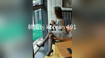 韩国bj korean 491