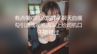 有点像邓丽欣的妹子聊天自摸勾引滴滴司机再车上给司机口不要错过