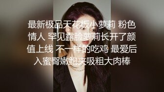 白鹿你的旗袍装小秘书