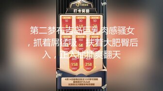 大神潜入商场女厕全景偷拍多位妆容精致的美女销售人美B更美