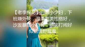 【老李探花】白嫩小少妇，下班赚外快，温柔甜美性格好，沙发暴插小白臀，嬉笑打闹好似偷情野鸳鸯