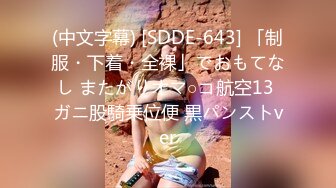 (中文字幕) [SDDE-643] 「制服・下着・全裸」でおもてなし またがりオマ○コ航空13 ガニ股騎乗位便 黒パンストver