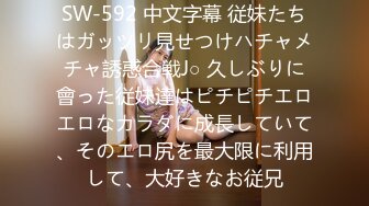 【无码】史上最強の美少女2人が聖なる夜にサンタとなってダブル出演！！その結果凄いことになB