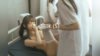 原創定製『巨乳』私拍甄選 揉乳玩穴 呻吟流漿 (5)