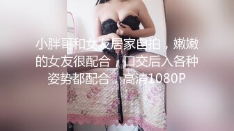 果冻传媒GDCM-005小姨子的诱惑-林凤娇