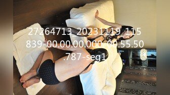 27264713_20231119_115839-00.00.00.000-00.55.50.787-seg1