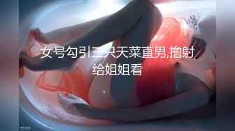 素人巨乳おっぱいナンパMAX