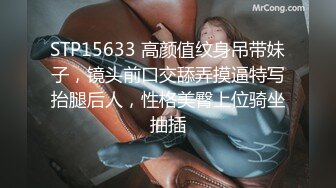 2023-2-23【用利顶你】爆乳外围小姐姐，扒掉衣服揉搓骚穴，连续搞了两炮