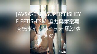 [AVSA-178] SUPER FISHEYE FETISHISM 迫力興奮蜜写 肉感ボインMビッチ 凪沙ゆきの