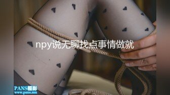 npy说无聊找点事情做就