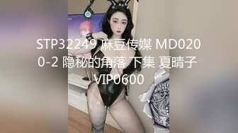 STP32249 麻豆传媒 MD0200-2 隐秘的角落 下集 夏晴子 VIP0600