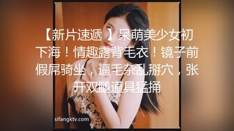 国产AV 葫芦影业 HUL019 旧上海四女子往事3