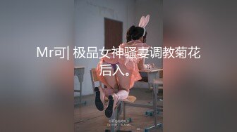 Mr可| 极品女神骚妻调教菊花后入。