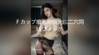 MIDV-664 [无码破解] 媚薬中出し痴●電車に堕ちた気高き美人捜査官ミ