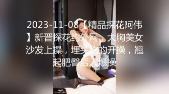 2023-11-08【精品探花阿伟】新晋探花约外网，大胸美女沙发上操，埋头吃的开操，翘起肥臀后入爆操