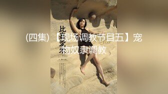 退圈女神归来！王动御用招牌女神模特【甲乙丙我姓丁】最新解锁推特自拍大胆露出全套