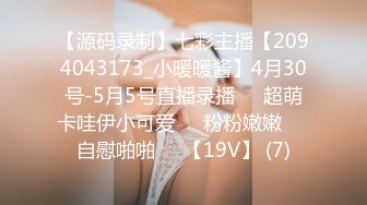  麻豆系列 MD-0102 女优面试员 面试遇见同学妈妈