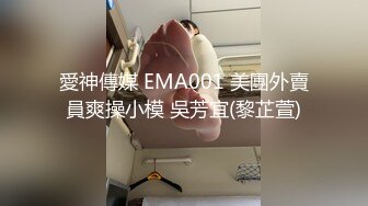 愛神傳媒 EMA001 美團外賣員爽操小模 吳芳宜(黎芷萱)