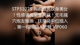 STP31075 胸前漂亮纹身美女！性感情趣装黑网袜！无毛骚穴炮友爆操，扶屌骑乘位插入，第一视角后入肥臀 VIP0600