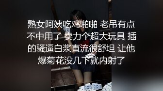 “你比我老公大多了，爽死了”肥臀少妇微露脸约炮，女仆黑丝被爆操