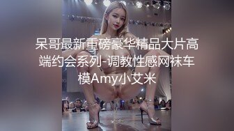 呆哥最新重磅豪华精品大片高端约会系列-调教性感网袜车模Amy小艾米