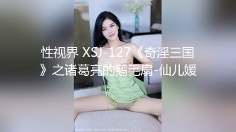 性视界 XSJ-127《奇淫三国》之诸葛亮的鹅毛扇-仙儿媛