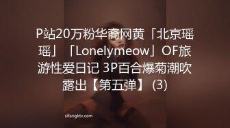 P站20万粉华裔网黄「北京瑶瑶」「Lonelymeow」OF旅游性爱日记 3P百合爆菊潮吹露出【第五弹】 (3)