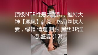 顶级NTR性爱大轰趴，推特大神【飓风】订阅，极品丝袜人妻，绿帽 情趣 制服 黑丝3P淫乱盛宴 (12)