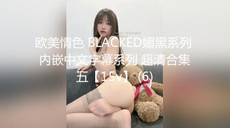 欧美情色 BLACKED媚黑系列 内嵌中文字幕系列 超清合集五【15v】 (6)