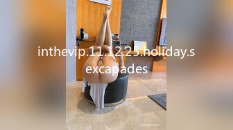 inthevip.11.12.25.holiday.sexcapades