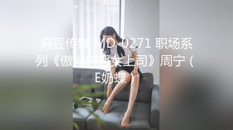 麻豆传媒 MD-0271 职场系列《傲慢的恶女上司》周宁（E奶蝶）