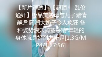  2023-04-25 爱豆传媒ID-5383偷心女盗的完美性任务