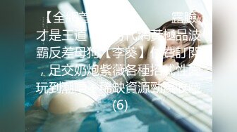 营销伎巧.o.negócio.s01e09.576p.hdtv.ac3.x264.葡语中字-深影字幕组v2