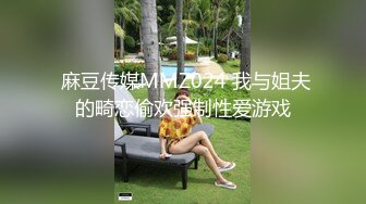  麻豆传媒MMZ024 我与姐夫的畸恋偷欢强制性爱游戏